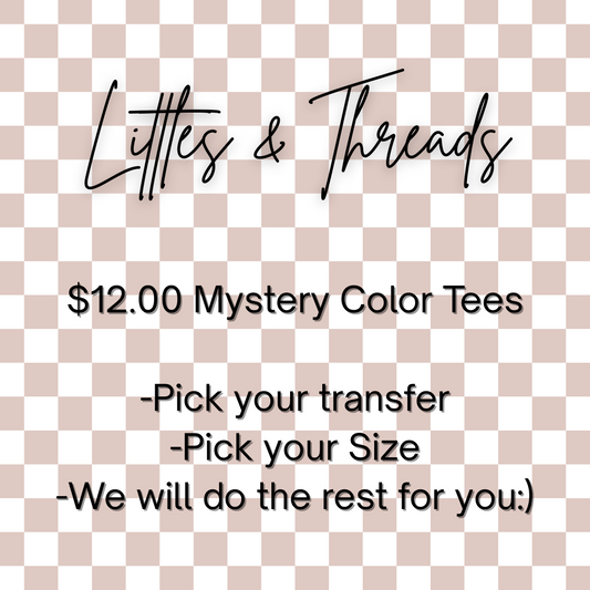 Mystery Color Tee- You Pick Design Grab Bag